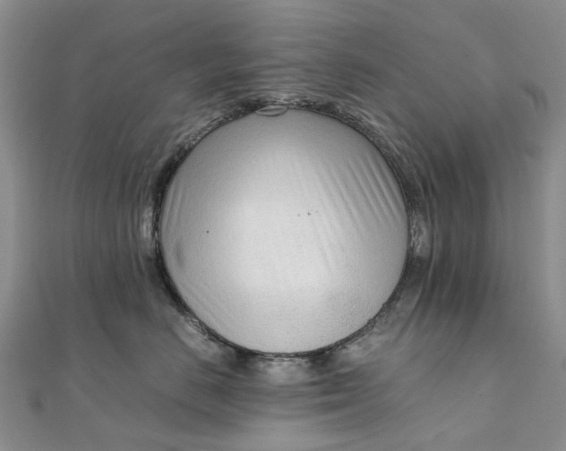 X0000111920670200908101222