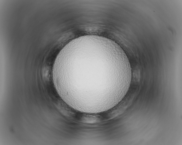 X0000111920671200908101222