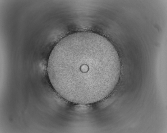 X0000111920672200908101222