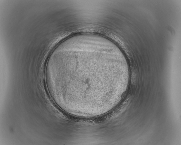 X0000111920673200908101222