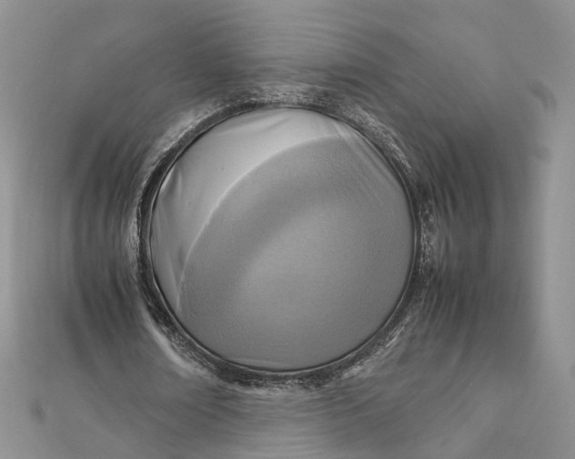 X0000111920674200908101222