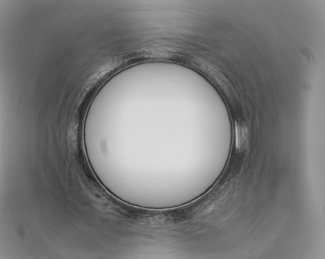 X0000111920675200908101222