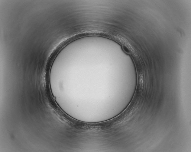 X0000111920676200908101222