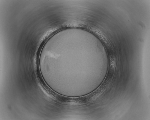 X0000111920678200908101222