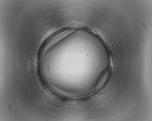 X0000111920679200908101222