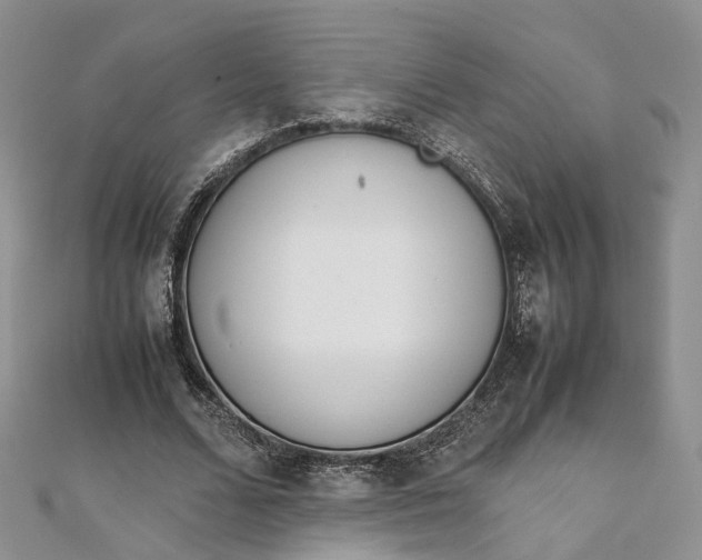 X0000111920680200908101222