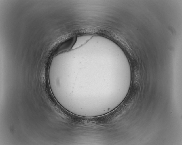 X0000111920681200908101222