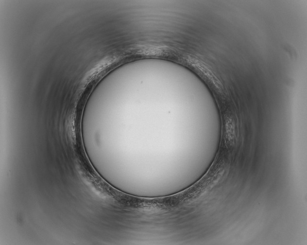 X0000111920682200908101222