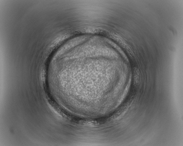 X0000111920683200908101222