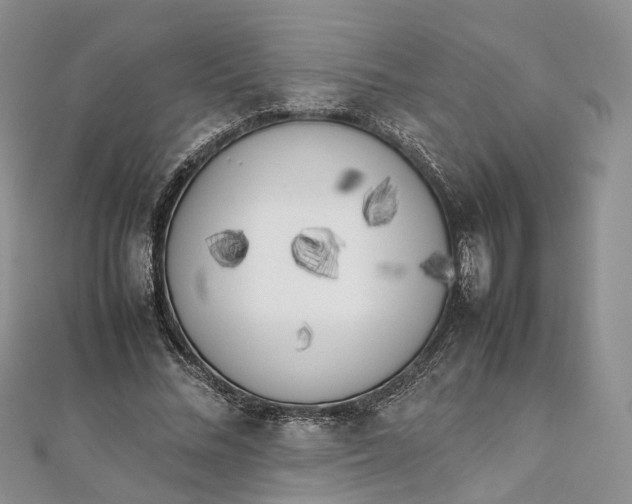 X0000111920684200908101222