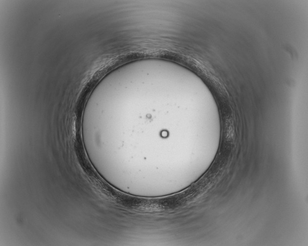 X0000111920685200908101222