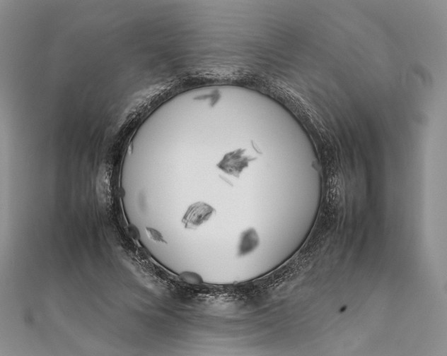 X0000111920688200908101221