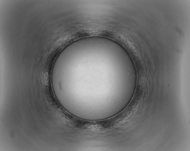 X0000111920689200908101221