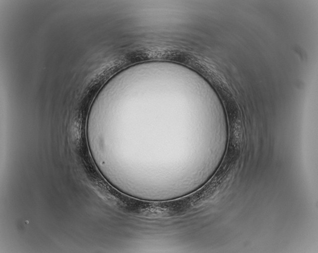 X0000111920691200908101221