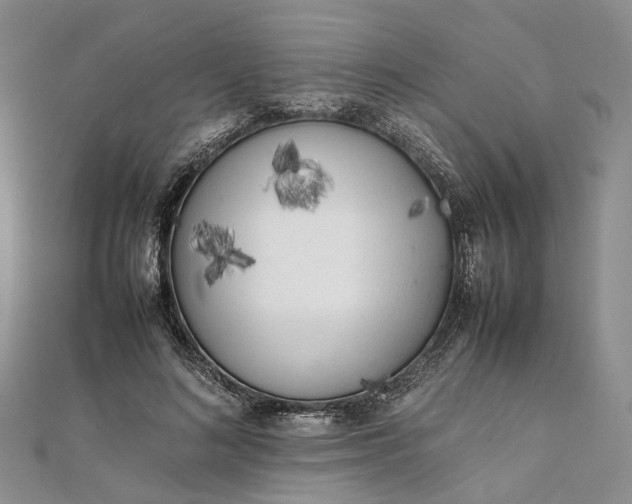 X0000111920692200908101221