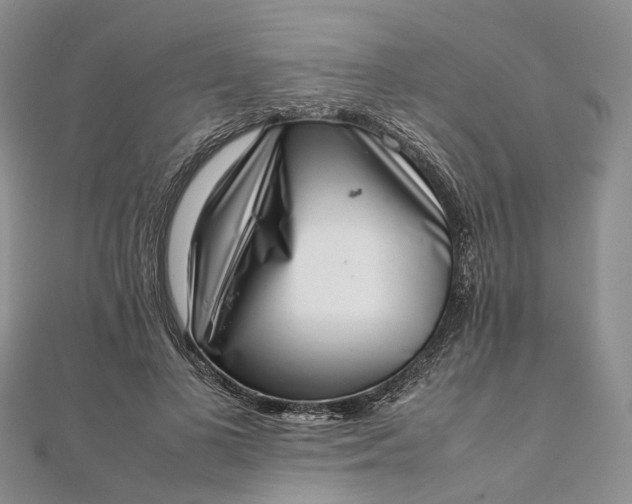 X0000111920693200908101221