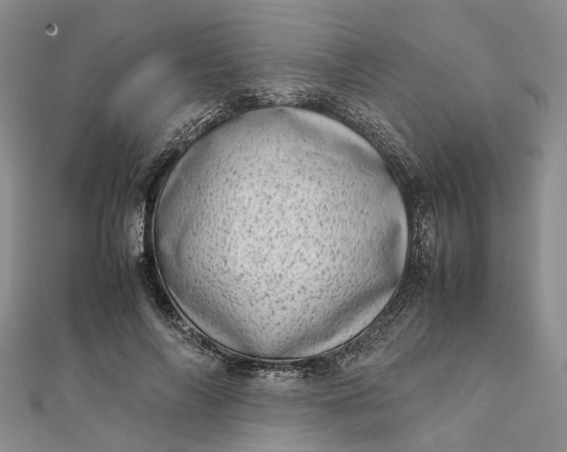 X0000111920694200908101221