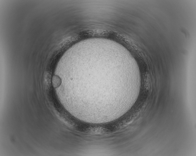 X0000111920695200908101221