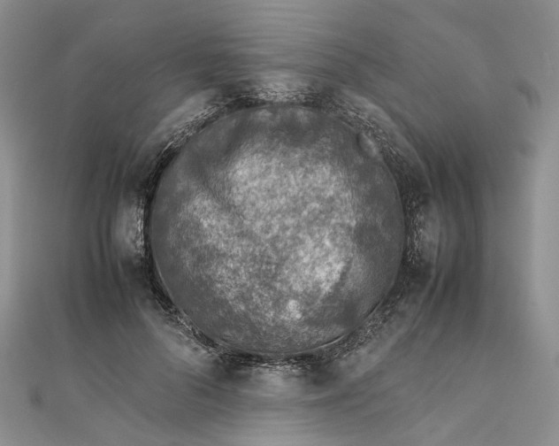 X0000111920696200908101221