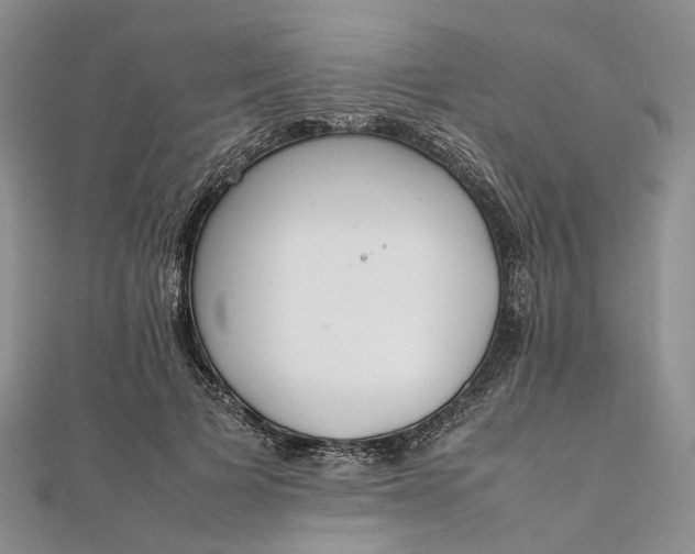 X0000111920697200908101221