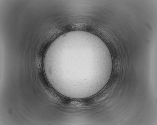 X0000111920699200908101221