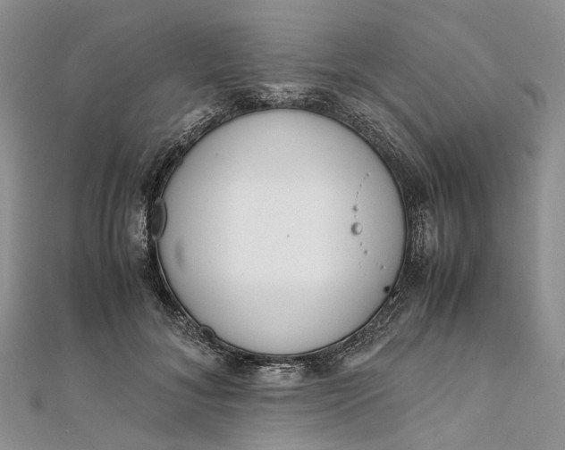 X0000111920700200908101221