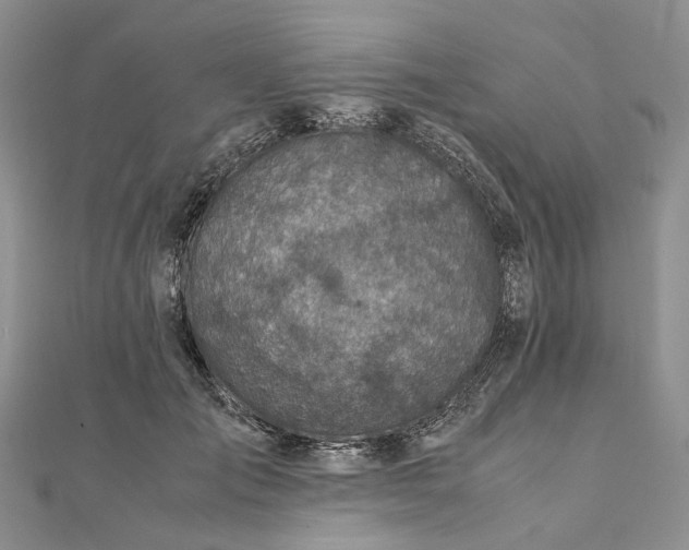 X0000111920701200908101221