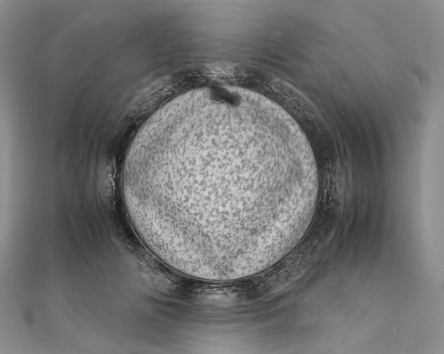 X0000111920702200908101221