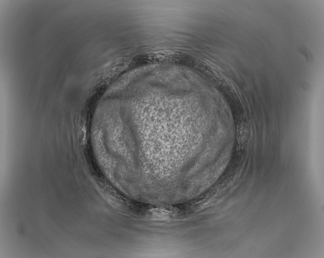 X0000111920703200908101221