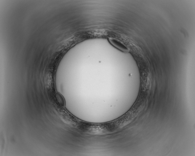 X0000111920704200908101221