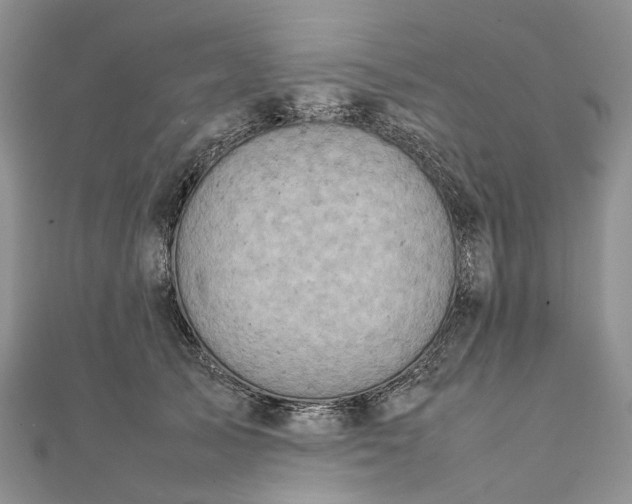 X0000111920705200908101221