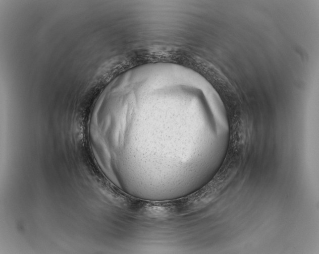 X0000111920706200908101221