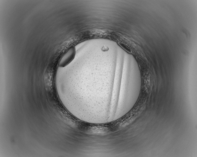 X0000111920708200908101221