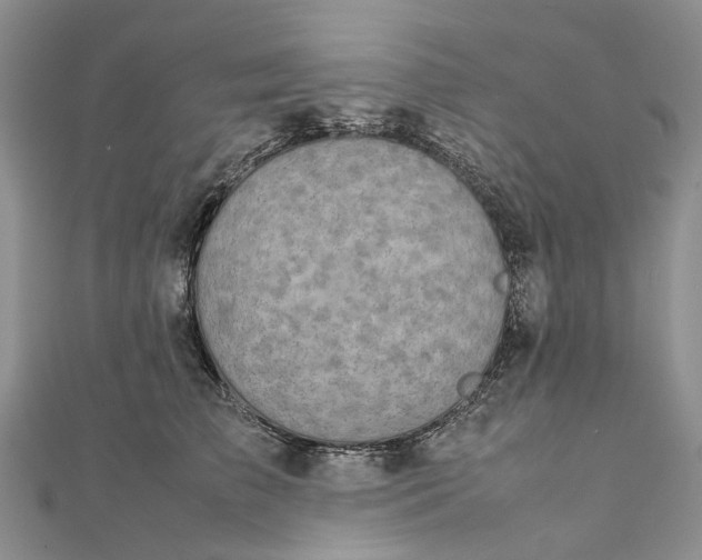 X0000111920709200908101221