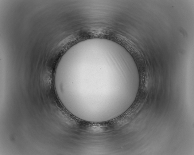 X0000111920710200908101221