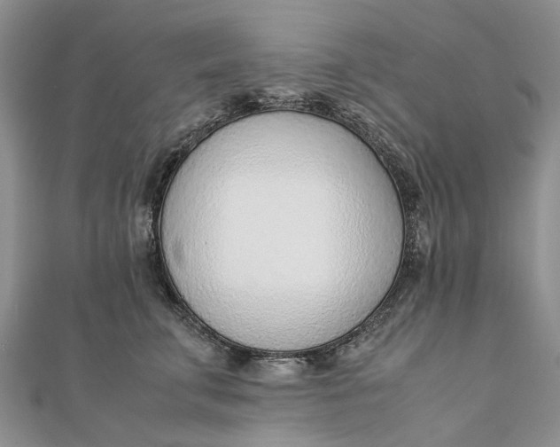 X0000111920711200908101221