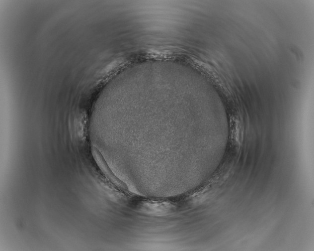 X0000111920712200908101221