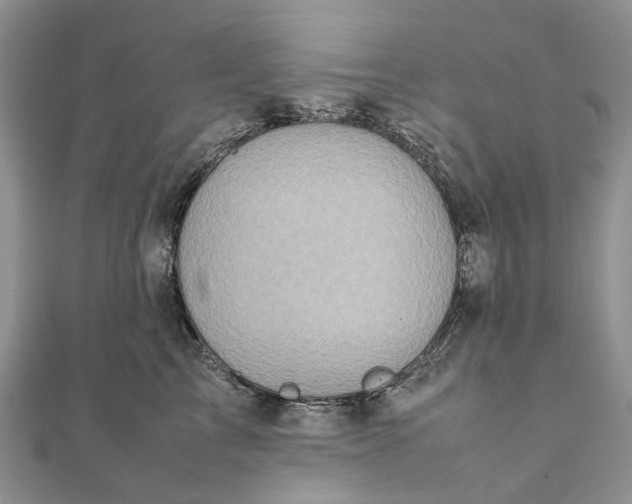 X0000111920713200908101221