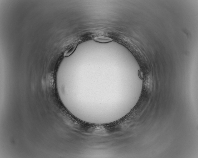 X0000111920715200908101221