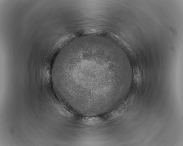 X0000111920716200908101221