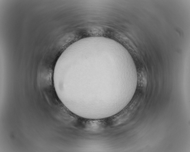 X0000111920717200908101221