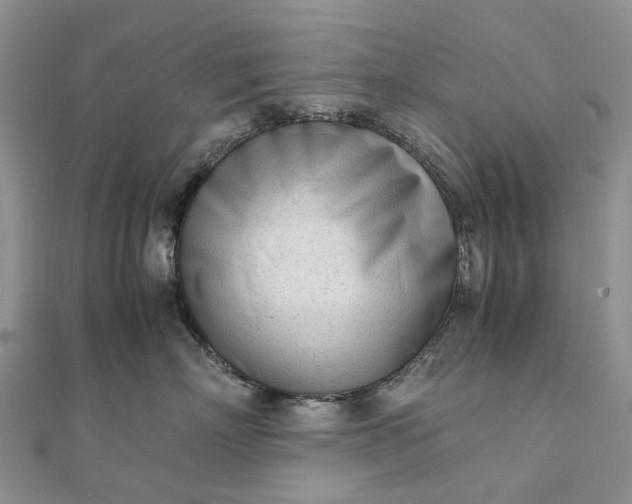 X0000111920718200908101221