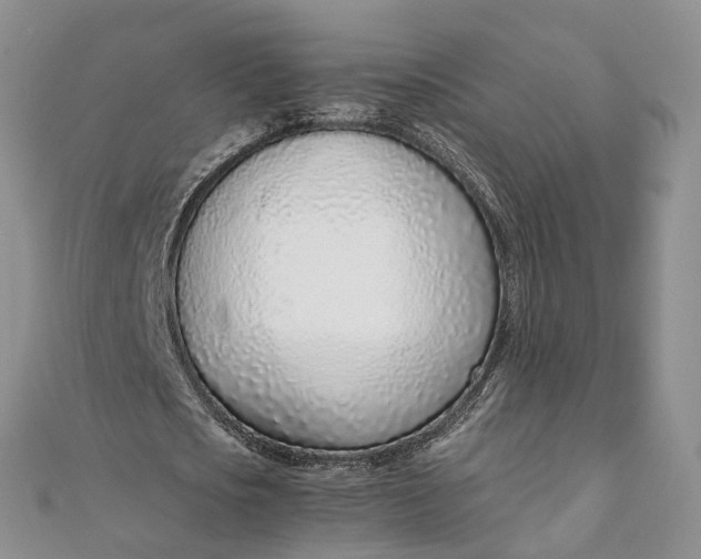 X0000111920721200908101220