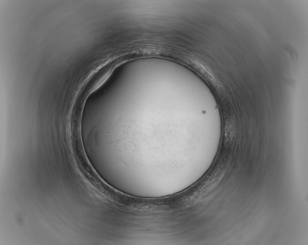 X0000111920722200908101220