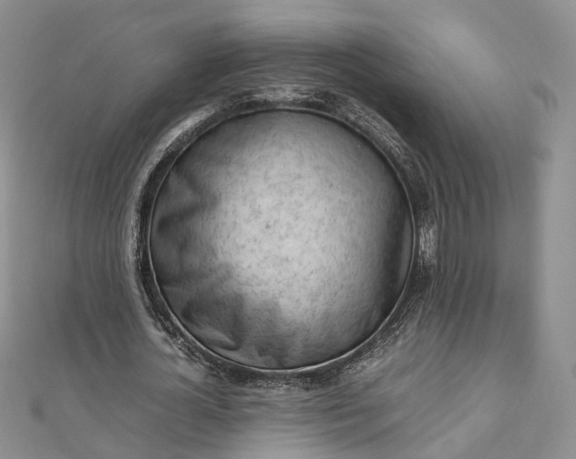 X0000111920724200908101220