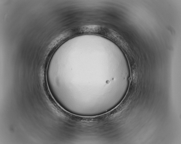 X0000111920725200908101221