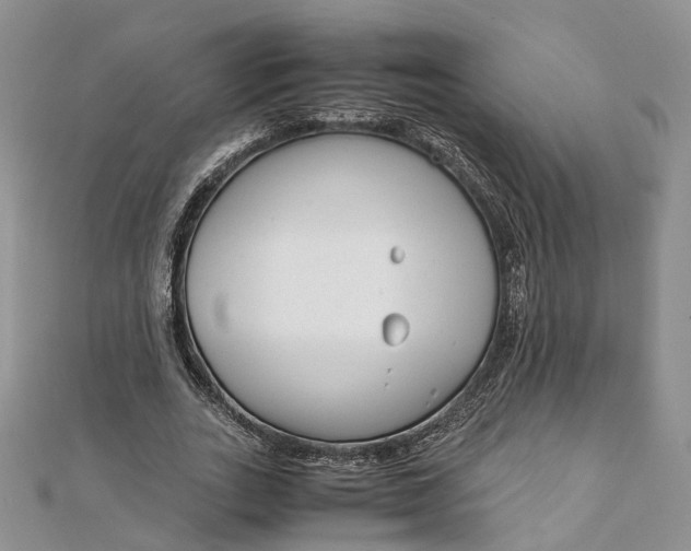 X0000111920727200908101221