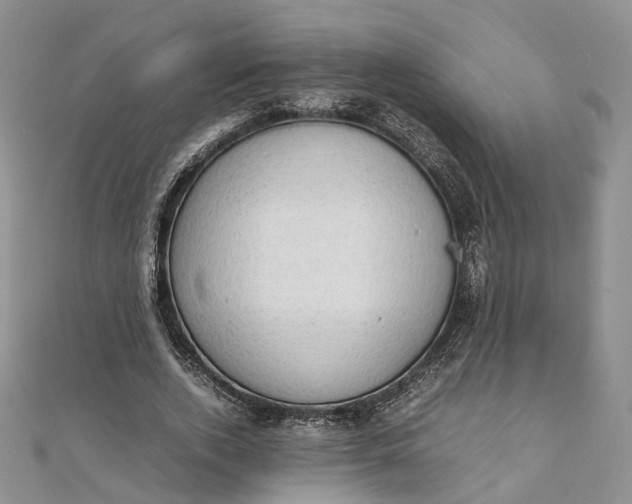 X0000111920728200908101221