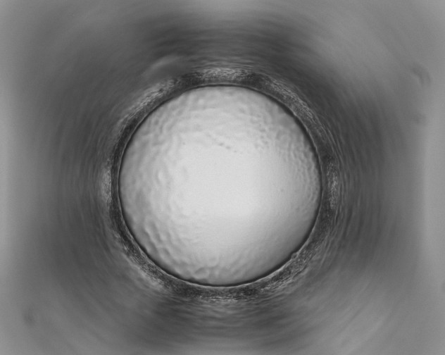 X0000111920729200908101221