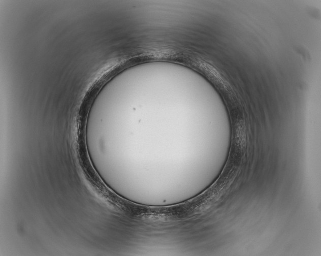 X0000111920730200908101221